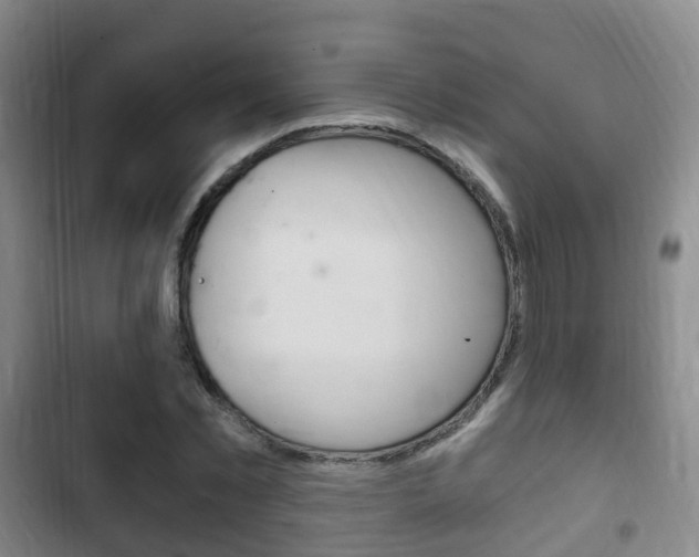 X0000102760781200808180930