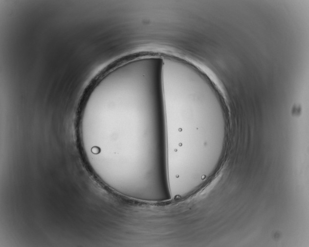 X0000102760783200808180930