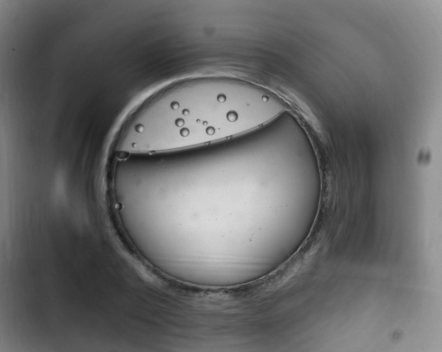 X0000102760784200808180930