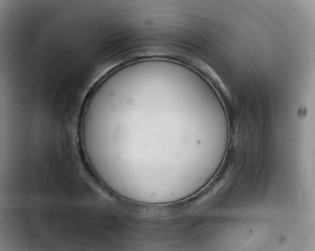 X0000102760786200808180930