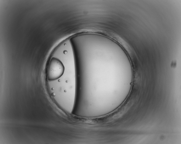 X0000102760787200808180930