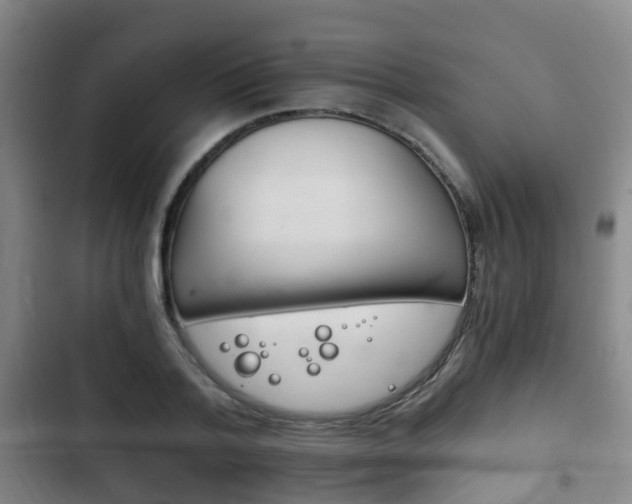 X0000102760788200808180930