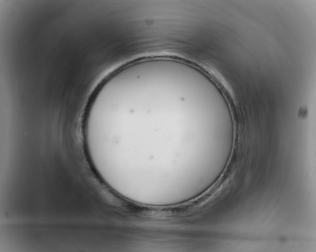 X0000102760789200808180930