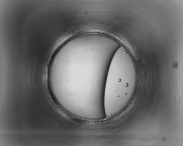 X0000102760790200808180930