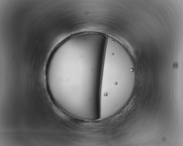 X0000102760792200808180930