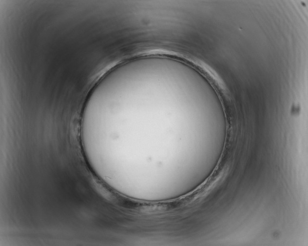 X0000102760793200808180930