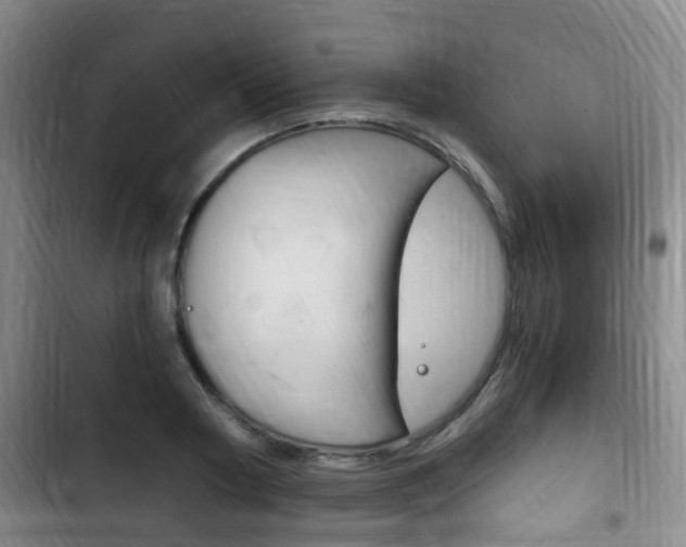 X0000102760794200808180930