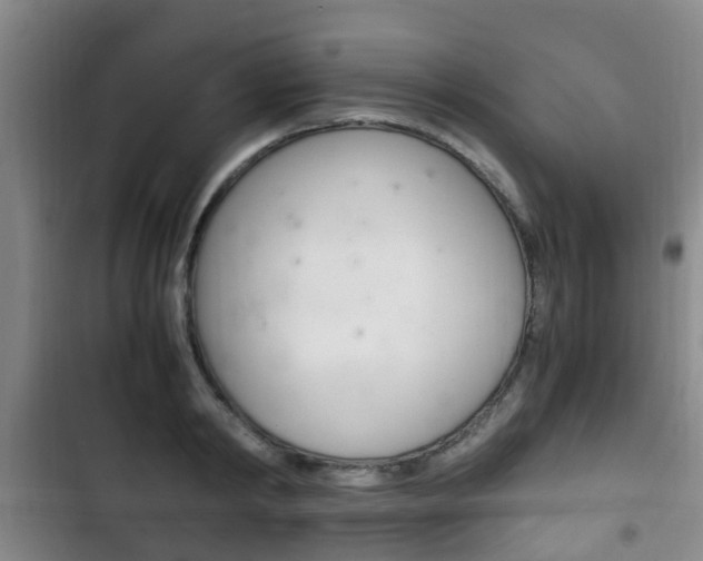 X0000102760798200808180930