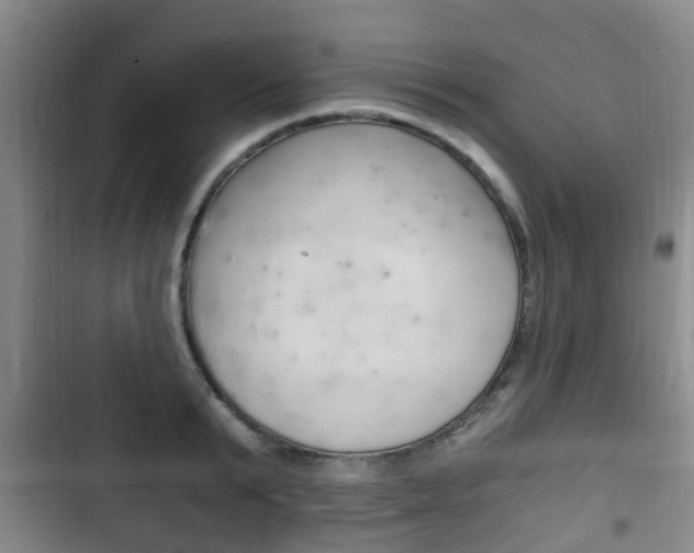 X0000102760799200808180930