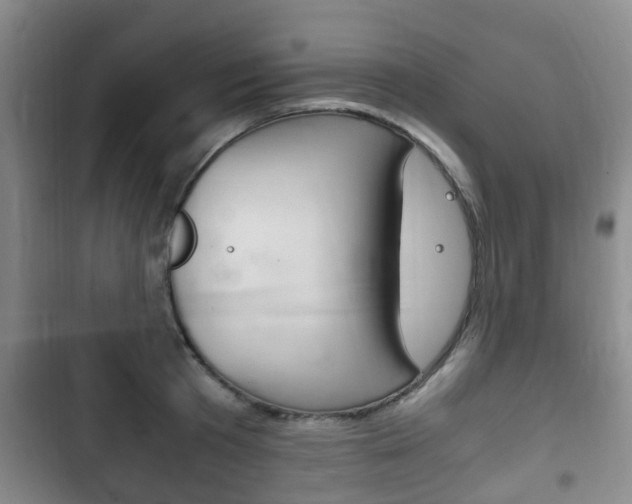 X0000102760801200808180930