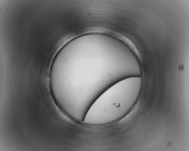X0000102760802200808180930
