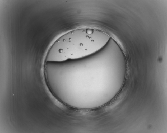 X0000102760803200808180930