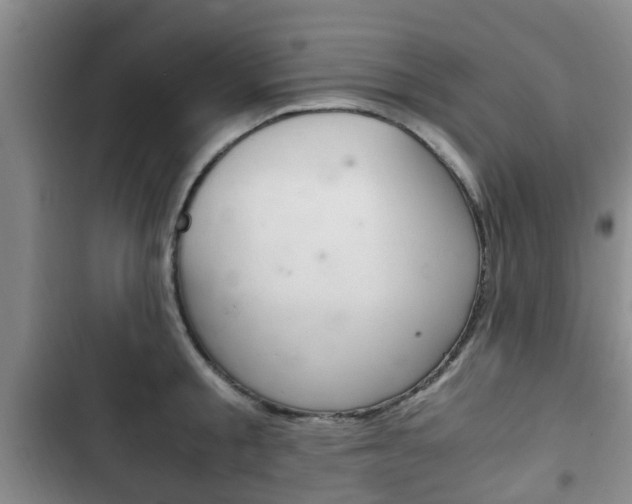 X0000102760805200808180930