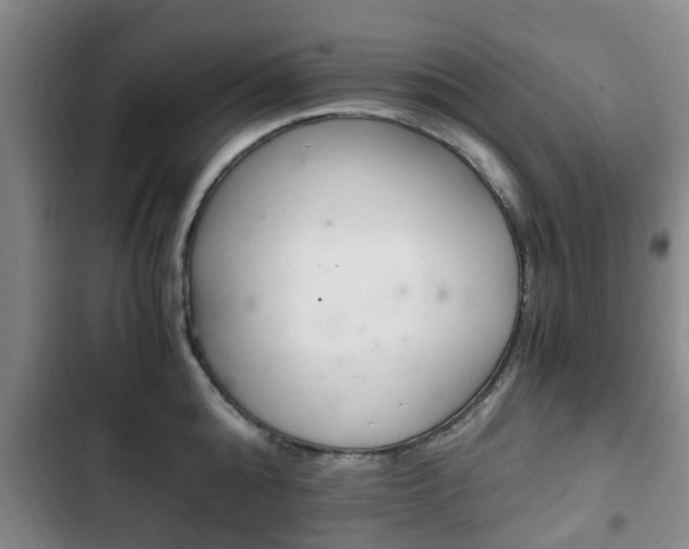 X0000102760808200808180930