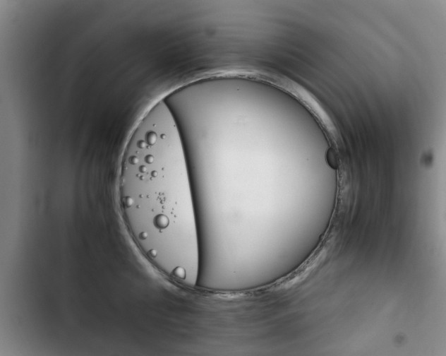X0000102760810200808180930