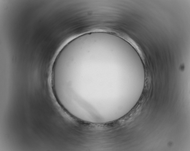X0000102760811200808180930