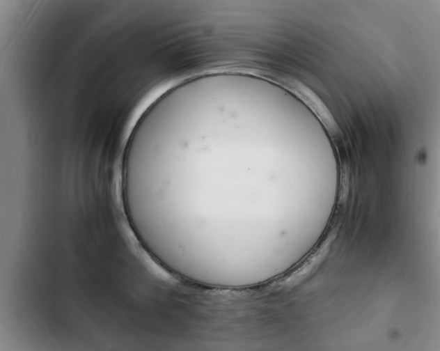 X0000102760812200808180930
