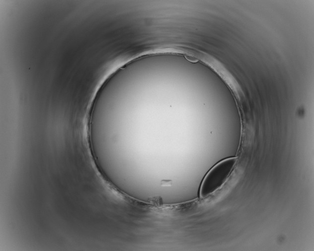X0000102760813200808180930