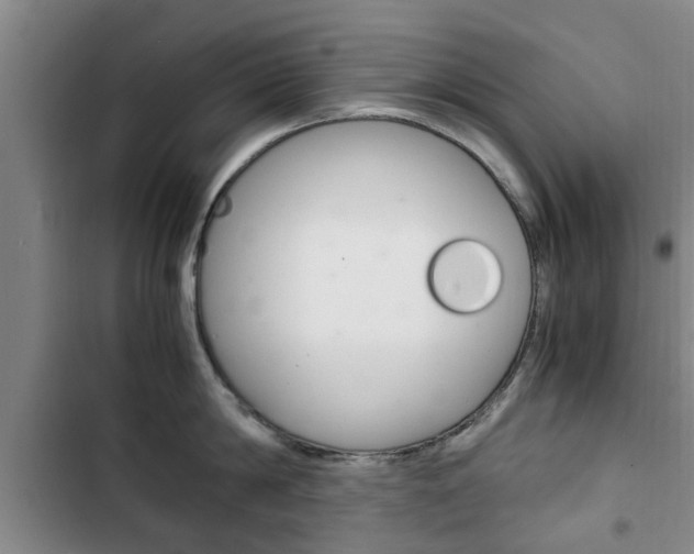 X0000102760814200808180930