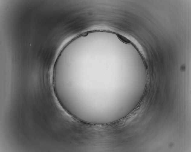 X0000102760815200808180930