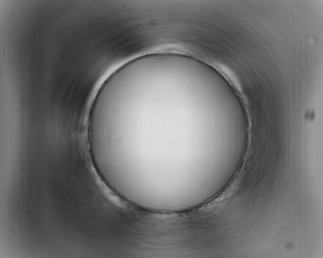X0000102760816200808180930
