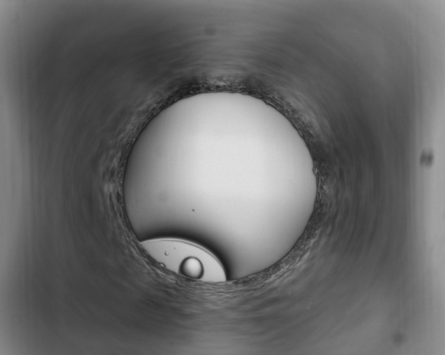X0000102760817200808180929