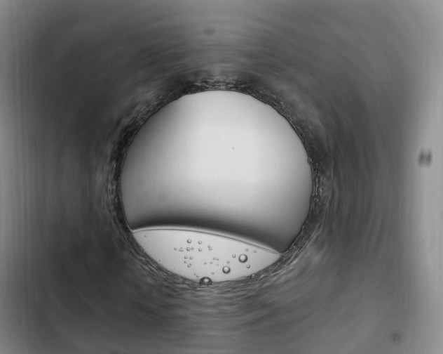 X0000102760818200808180929