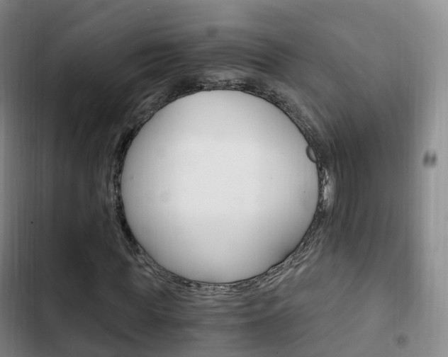 X0000102760819200808180929