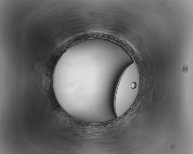 X0000102760821200808180929
