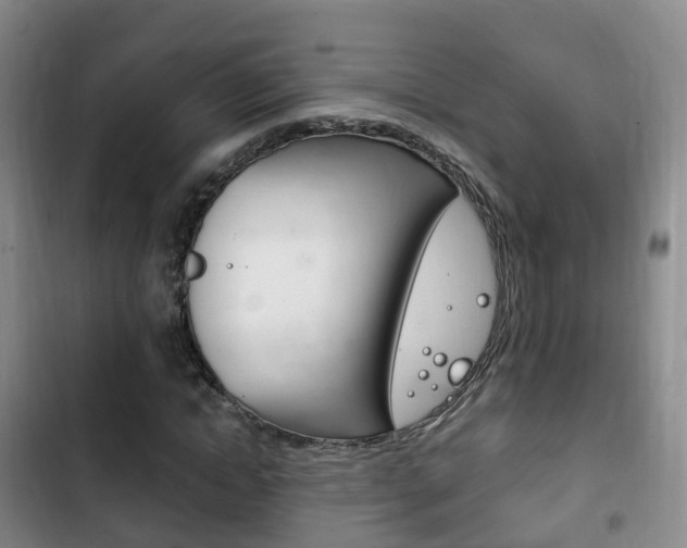 X0000102760822200808180929