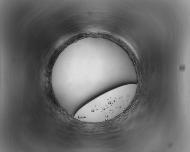 X0000102760823200808180929