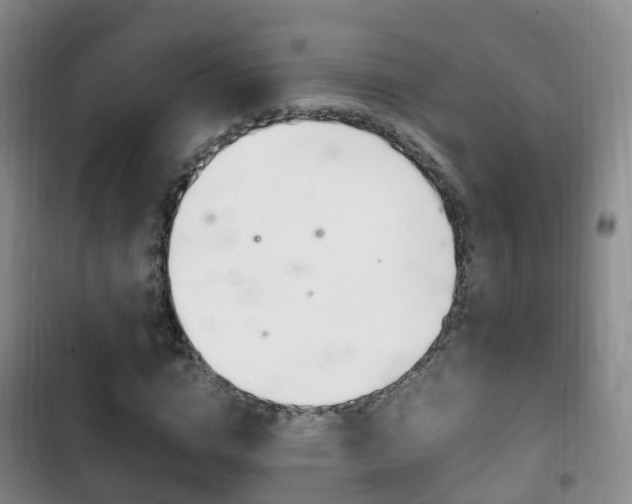 X0000102760824200808180929