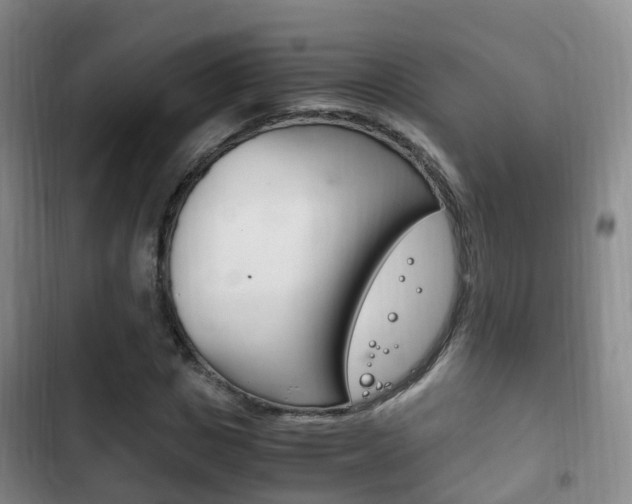 X0000102760825200808180929