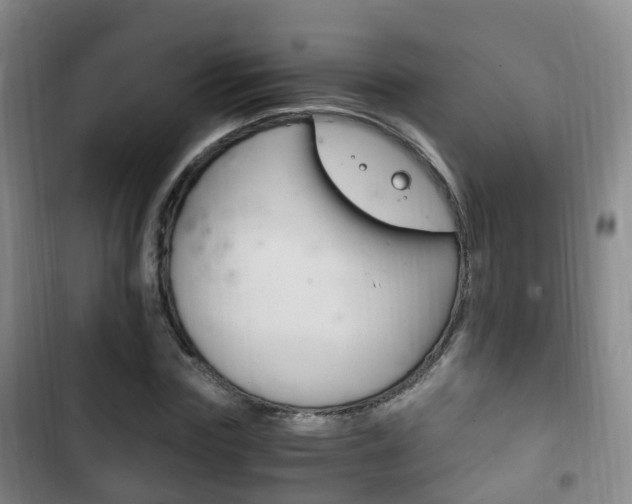 X0000102760827200808180929