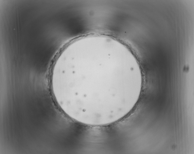 X0000102760828200808180929