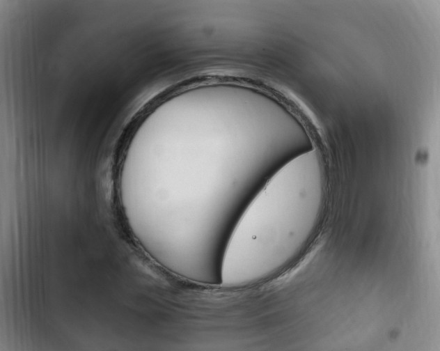 X0000102760829200808180929