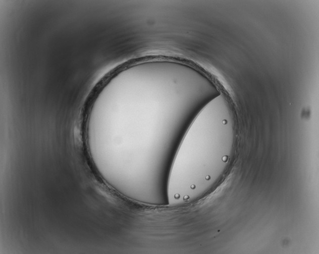 X0000102760830200808180929