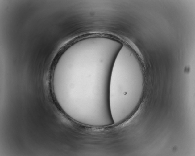 X0000102760831200808180929