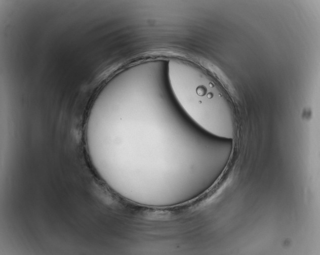 X0000102760833200808180929