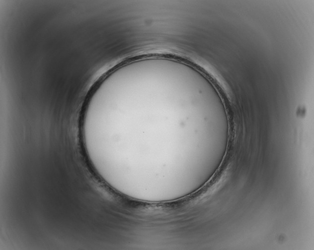 X0000102760834200808180929