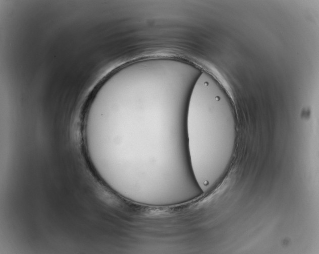 X0000102760835200808180929
