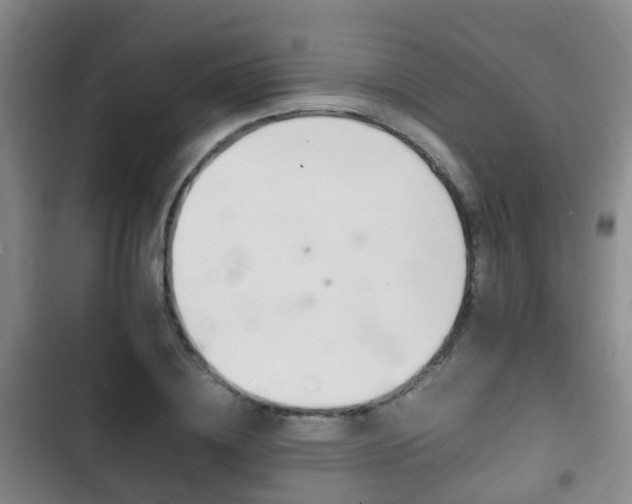 X0000102760836200808180929