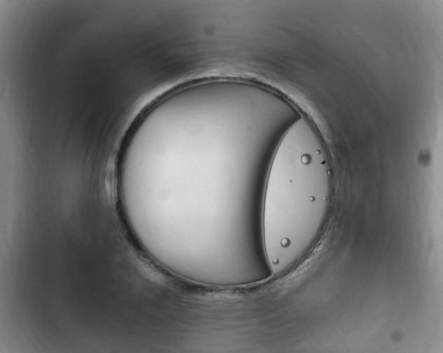 X0000102760838200808180929