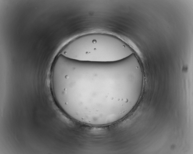 X0000102760839200808180929