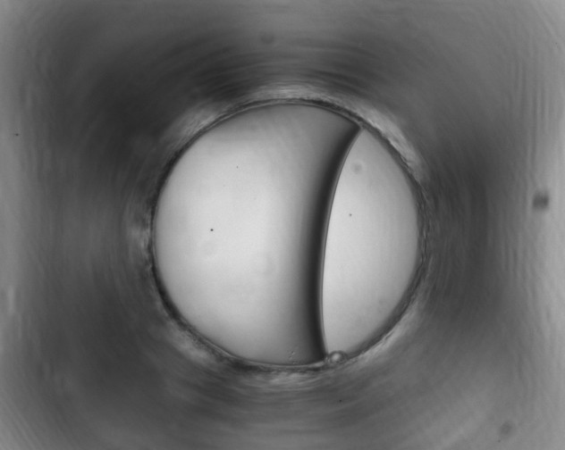 X0000102760841200808180929