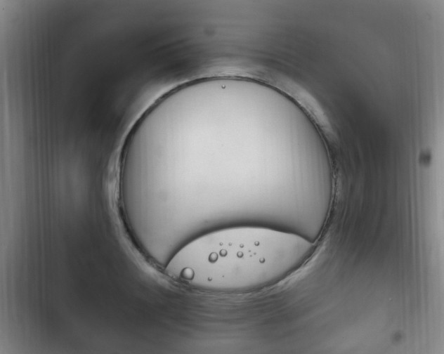 X0000102760844200808180929