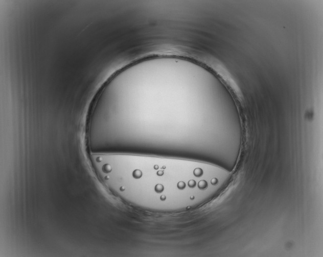 X0000102760845200808180929