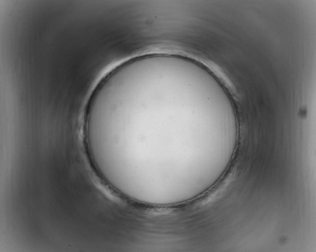 X0000102760846200808180929
