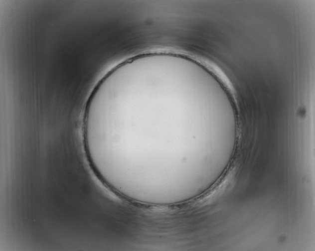 X0000102760847200808180930