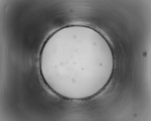 X0000102760848200808180930